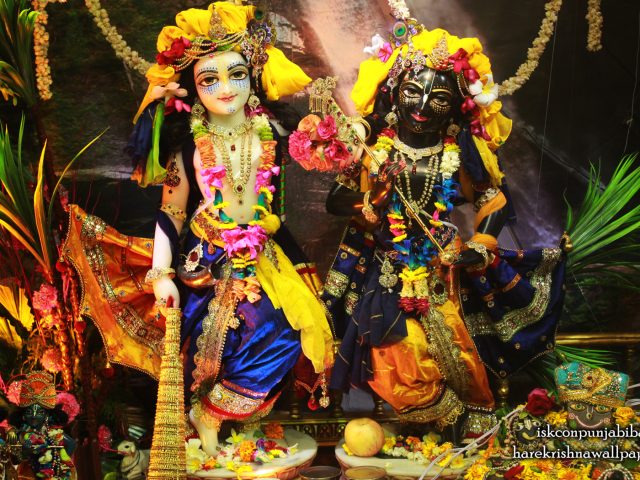 Sri Sri Krishna Balaram Wallpaper (002) Size 1680×1050 Download