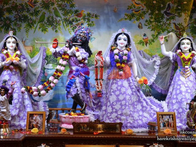 Sri Sri Radha Madan Gopal Lalita Vishakha Wallpaper (002) Size 1920×1200 Download