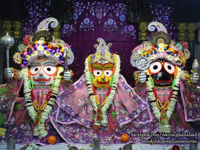 Jagannath Baladeva Subhadra Wallpaper (003) Size 1152×864 Download