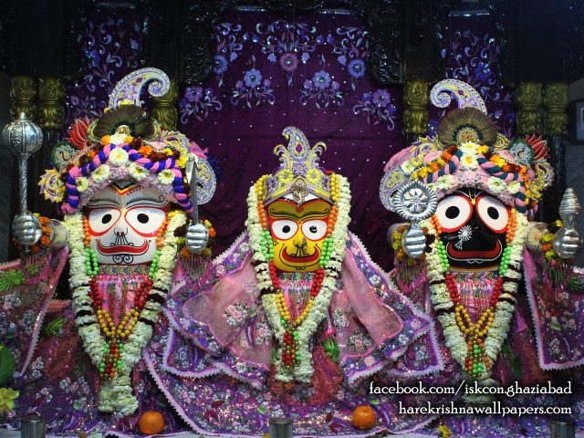 Jagannath Baladeva Subhadra Wallpaper (003) Size 1280×1024 Download