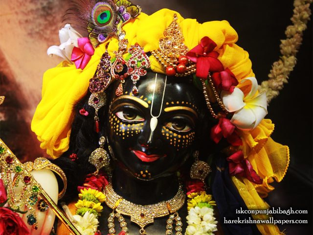 Sri Krishna Close up Wallpaper (003) Size 1280×1024 Download