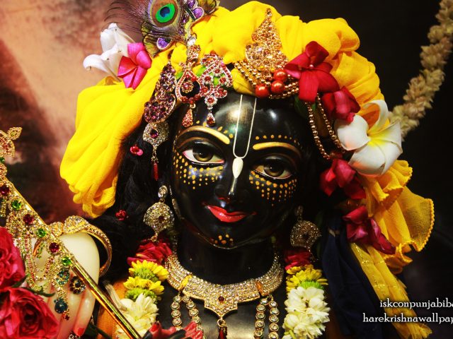 Sri Krishna Close up Wallpaper (003) Size 1680×1050 Download