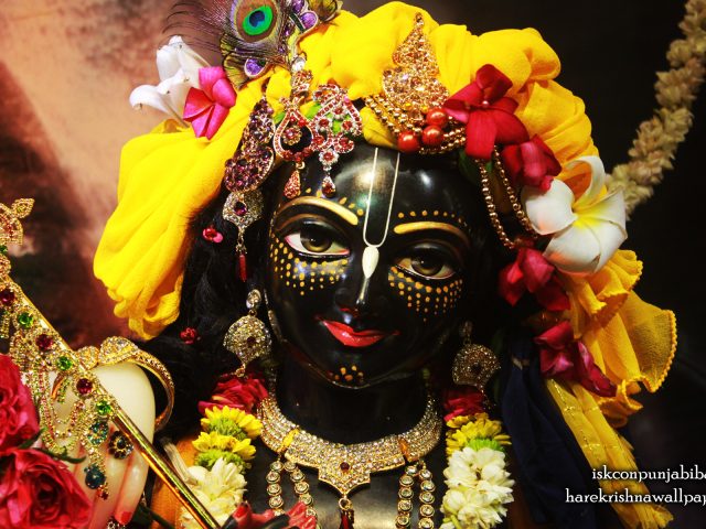 Sri Krishna Close up Wallpaper (003) Size 1920×1200 Download