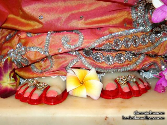 Sri Radha Feet Wallpaper (003)
