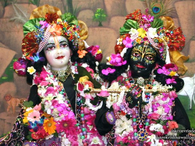 Sri Sri Krishna Balaram Close up Wallpaper (003) Size 1280×800 Download