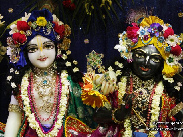 Sri Sri Krishna Balaram Close up Wallpaper (003) Size 2560×1600 Download