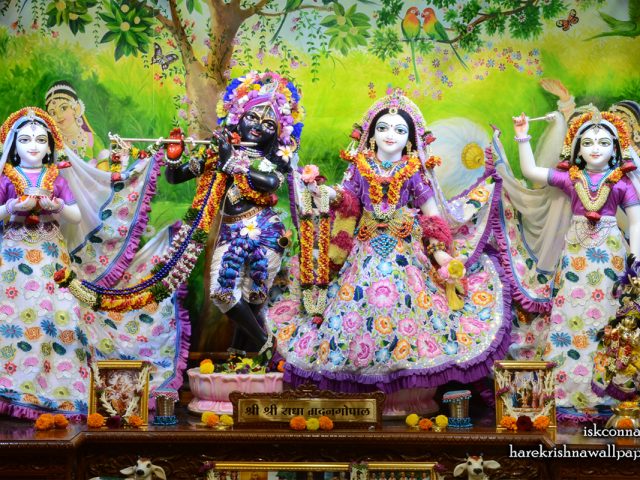 Sri Sri Radha Madan Gopal Lalita Vishakha Wallpaper (003) Size 1280×800 Download