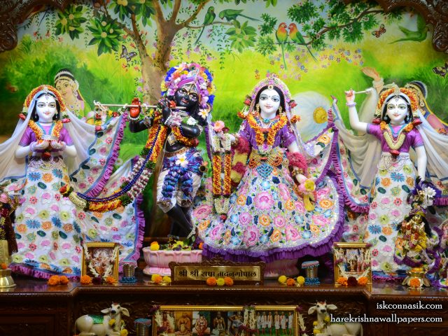 Sri Sri Radha Madan Gopal Lalita Vishakha Wallpaper (003) Size 1600×1200 Download