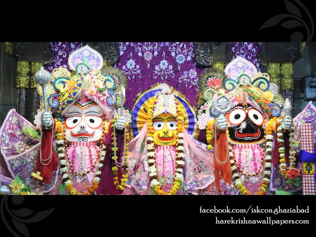 Jagannath Baladeva Subhadra Wallpaper (004) Size 1280×1024 Download