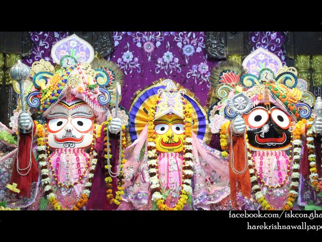Jagannath Baladeva Subhadra Wallpaper (004) Size 1920×1200 Download