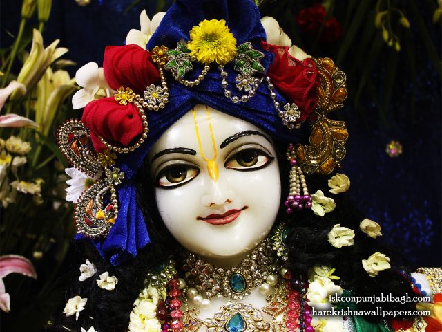 Sri Balaram Close up Wallpaper (004) Size 1280×1024 Download