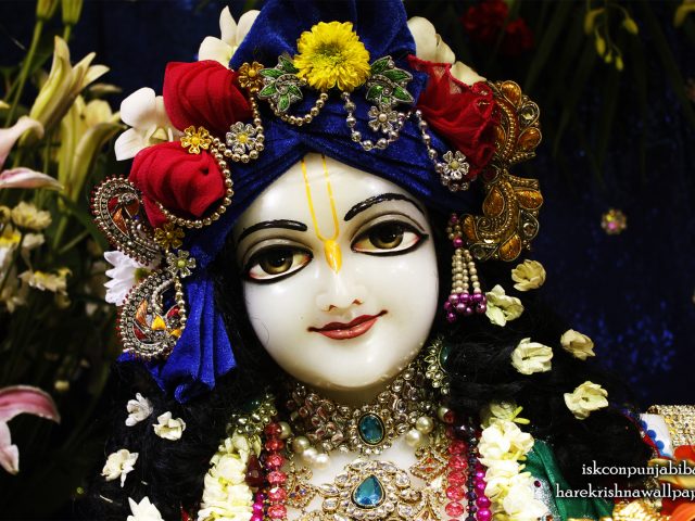 Sri Balaram Close up Wallpaper (004) Size 1680×1050 Download