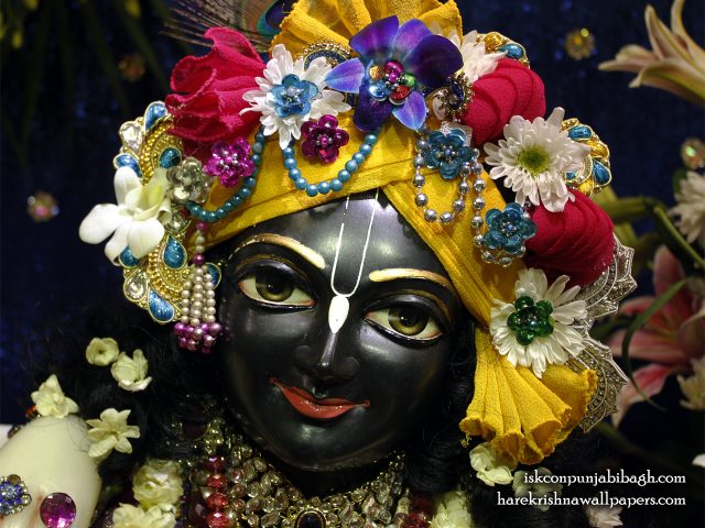 Sri Krishna Close up Wallpaper (004) Size 1280×1024 Download