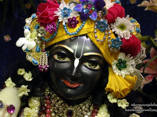 Sri Krishna Close up Wallpaper (004) Size 1920×1200 Download