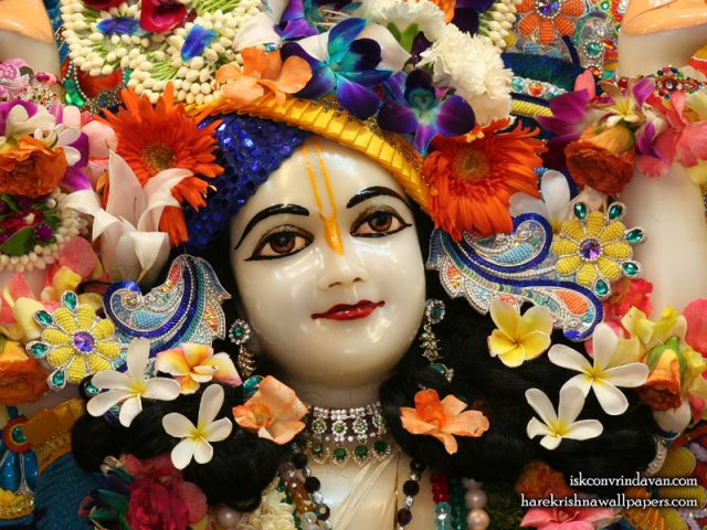 Sri Nitai Close up Wallpaper (004) Size 800×600 Download