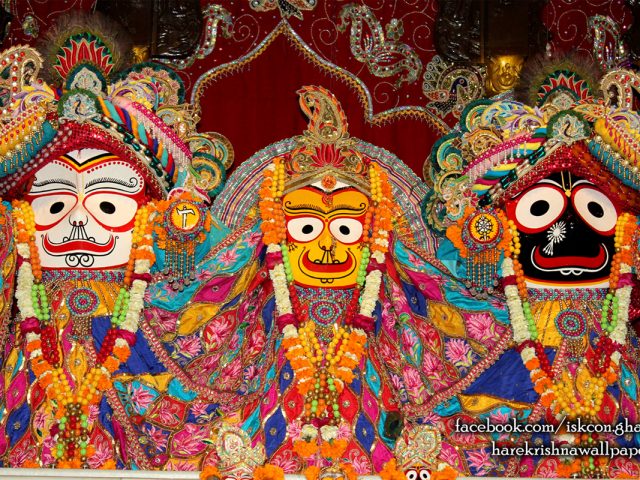 Jagannath Baladeva Subhadra Wallpaper (005) Size 1280×800 Download