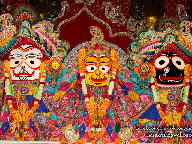 Jagannath Baladeva Subhadra Wallpaper (005) Size 1680×1050 Download