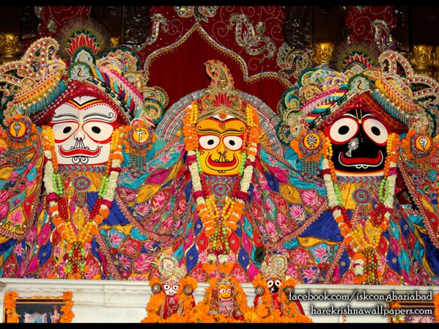 Jagannath Baladeva Subhadra Wallpaper (005) Size 800×600 Download
