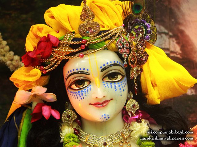 Sri Balaram Close up Wallpaper (005) Size 1280×1024 Download