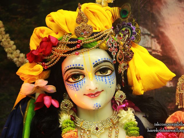 Sri Balaram Close up Wallpaper (005) Size 1680×1050 Download
