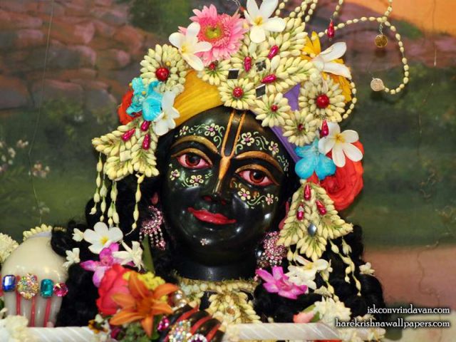 Sri Krishna Close up Wallpaper (005)
