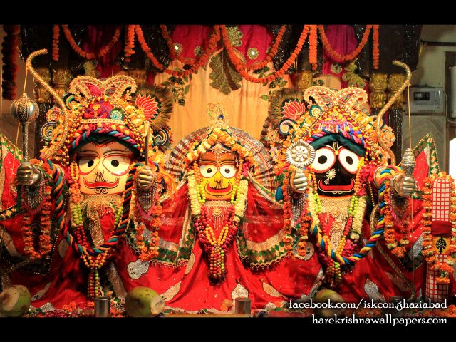 Jagannath Baladeva Subhadra Wallpaper (006) Size 1280×1024 Download