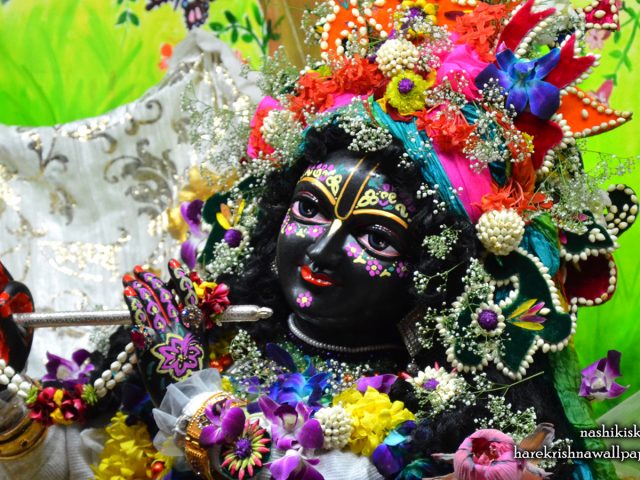 Sri Madan Gopal Close up Wallpaper (006) Size 1440×900 Download