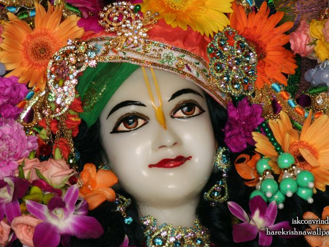 Sri Nitai Close up Wallpaper (006) Size 1680×1050 Download
