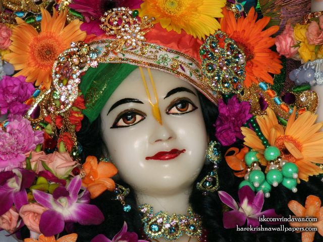 Sri Nitai Close up Wallpaper (006) Size 2400×1800 Download