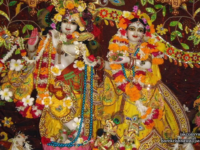 Sri Sri Radha Giridhari Wallpaper (006) Size 1680×1050 Download