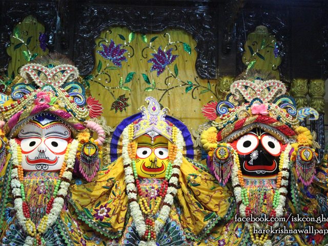 Jagannath Baladeva Subhadra Wallpaper (007) Size 1280×800 Download