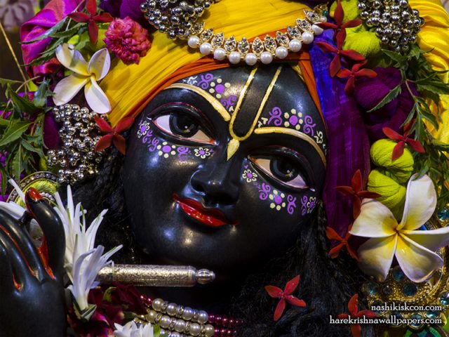 Sri Madan Gopal Close up Wallpaper (007) Size 800×600 Download