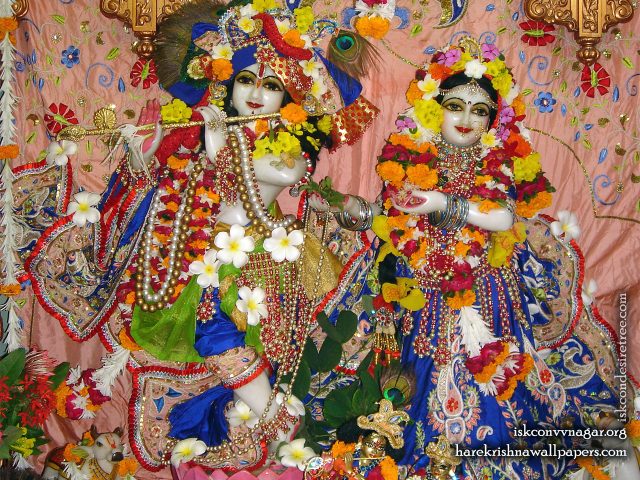 Sri Sri Radha Giridhari Wallpaper (007) Size 1280×1024 Download