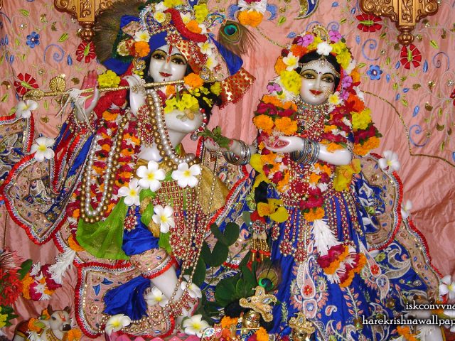 Sri Sri Radha Giridhari Wallpaper (007) Size 1440×900 Download