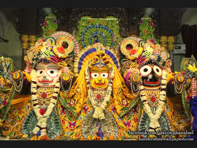 Jagannath Baladeva Subhadra Wallpaper (008) Size 1024×768 Download