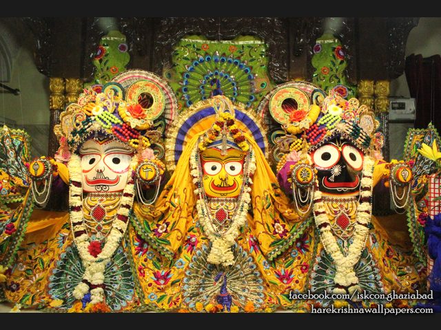 Jagannath Baladeva Subhadra Wallpaper (008) Size 1152×864 Download