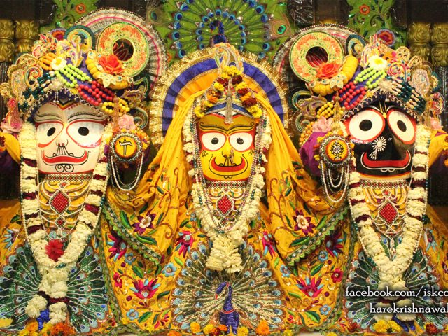 Jagannath Baladeva Subhadra Wallpaper (008) Size 1280×720 Download