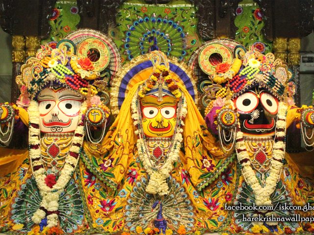 Jagannath Baladeva Subhadra Wallpaper (008) Size 1280×800 Download