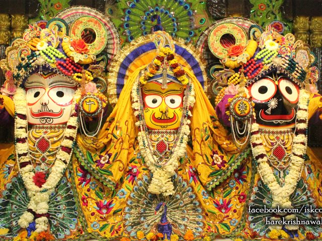 Jagannath Baladeva Subhadra Wallpaper (008) Size 1600×900 Download