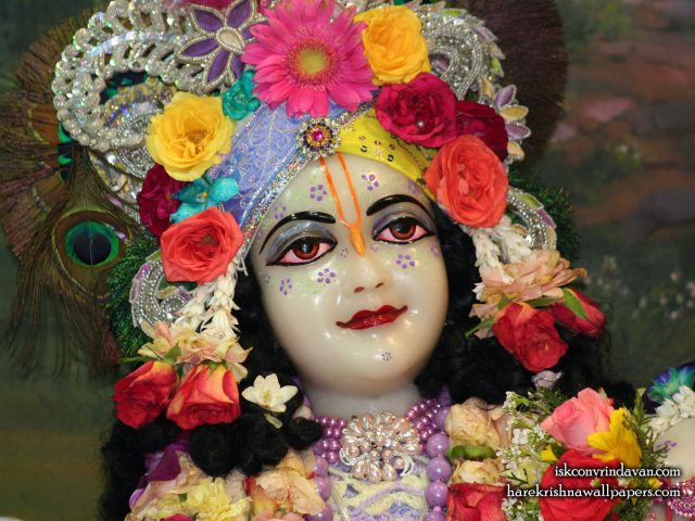 Sri Balaram Close up Wallpaper (008) Size 1400×1050 Download