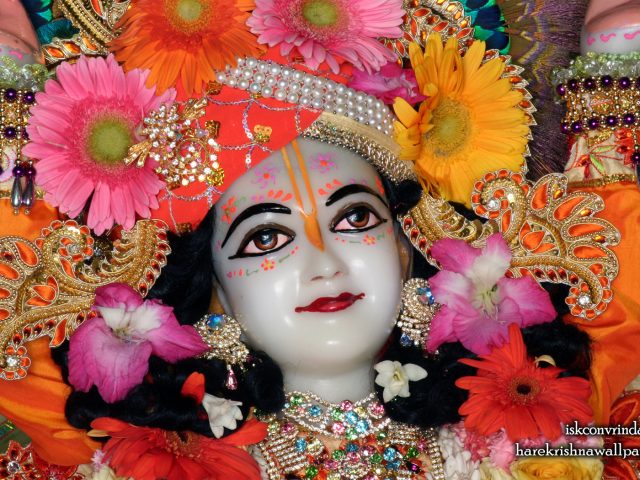 Sri Nitai Close up Wallpaper (008) Size 1680×1050 Download