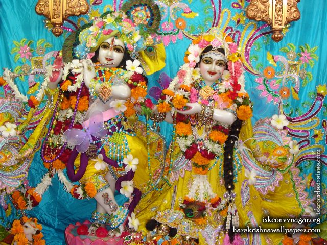 Sri Sri Radha Giridhari Wallpaper (008) Size 1280×1024 Download