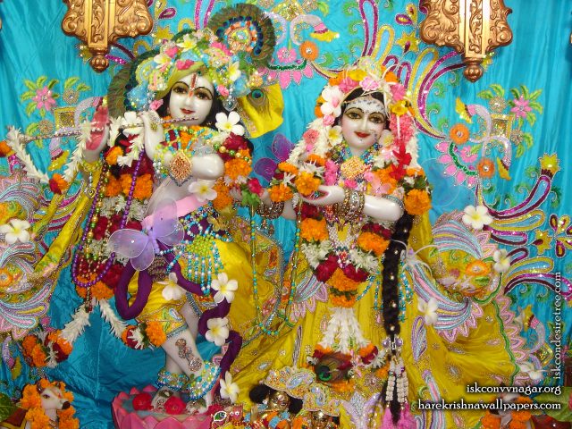 Sri Sri Radha Giridhari Wallpaper (008) Size 1920×1440 Download