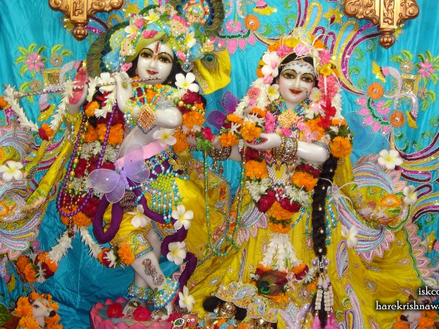 Sri Sri Radha Giridhari Wallpaper (008) Size 2400×1350 Download