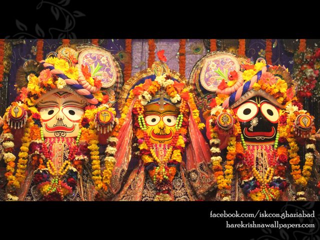 Jagannath Baladeva Subhadra Wallpaper (009) Size 1024×768 Download