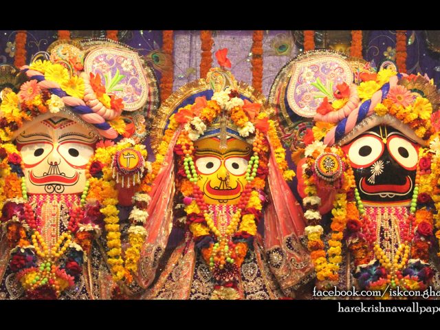 Jagannath Baladeva Subhadra Wallpaper (009) Size 1280×800 Download