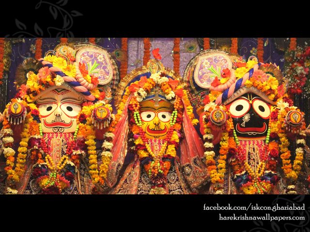 Jagannath Baladeva Subhadra Wallpaper (009) Size 1280×960 Download