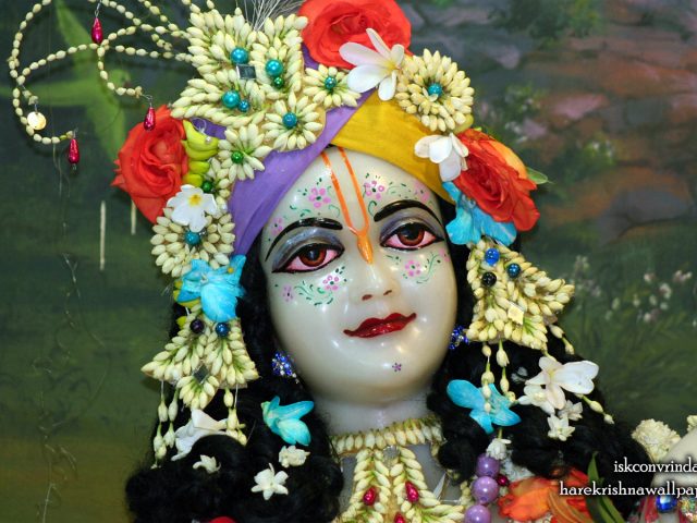 Sri Balaram Close up Wallpaper (009) Size 1440×900 Download