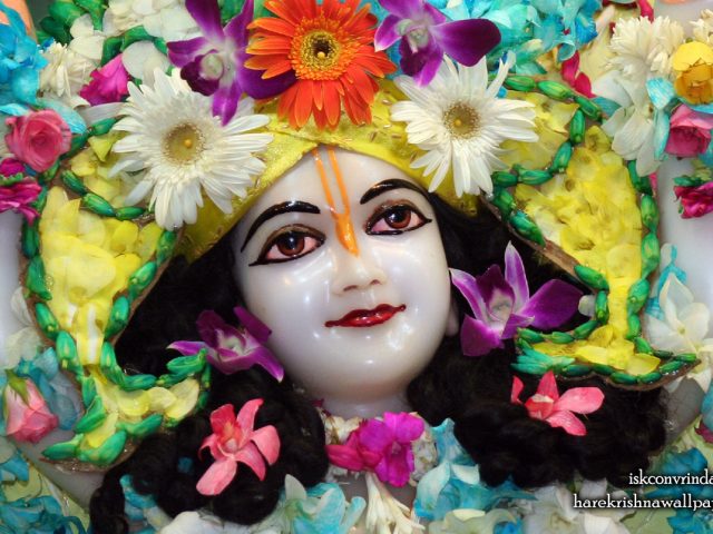 Sri Nitai Close up Wallpaper (009) Size 1280×800 Download