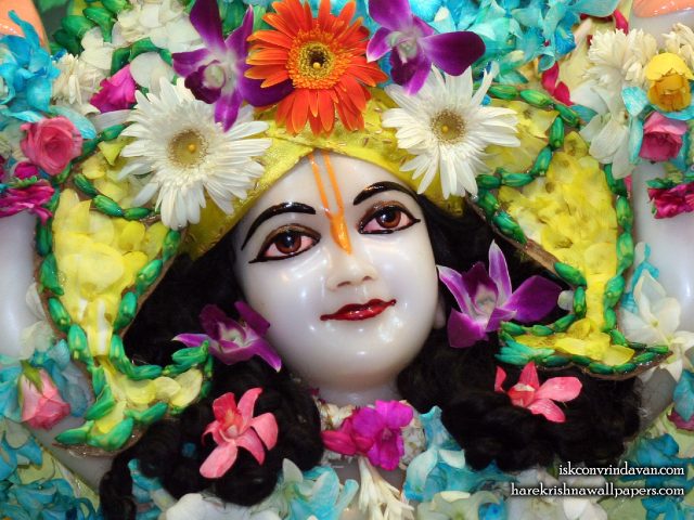 Sri Nitai Close up Wallpaper (009) Size 1920×1440 Download